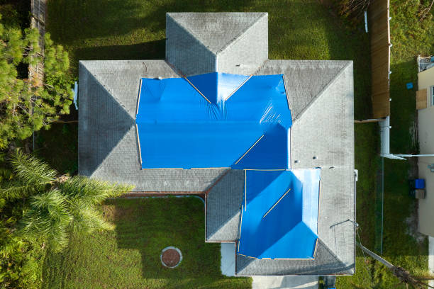 Best Steel Roofing  in Lake Hamilton, FL