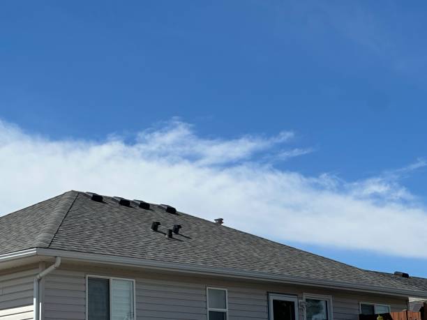 Best Chimney Flashing Repair  in Lake Hamilton, FL